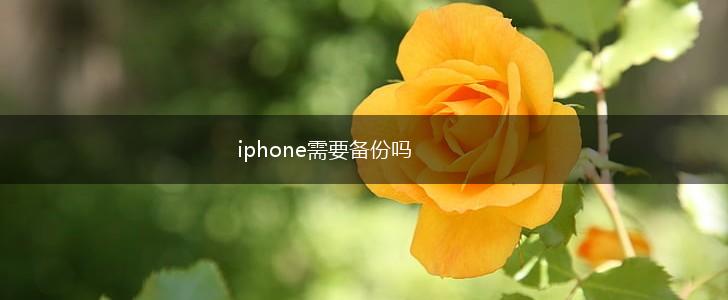 iphone需要备份吗,第1张