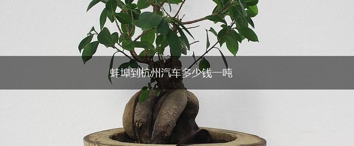蚌埠到杭州汽车多少钱一吨,第1张