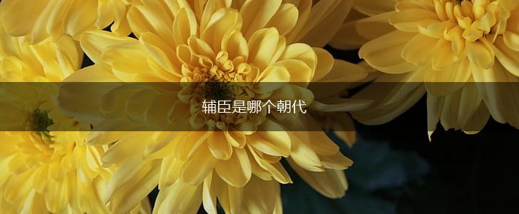 辅臣是哪个朝代,第1张