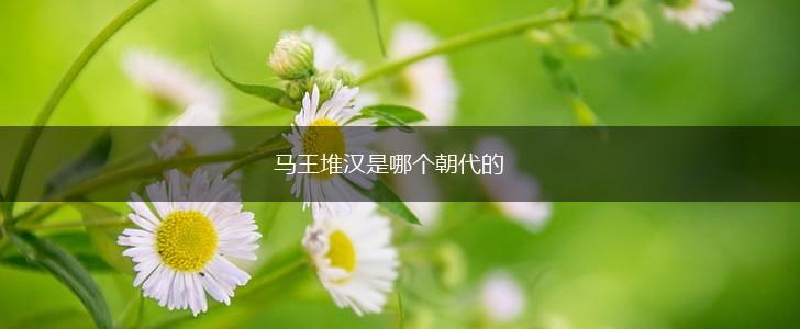 马王堆汉是哪个朝代的,第1张