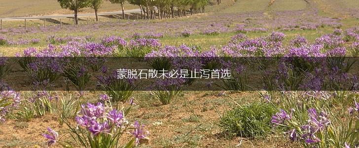 蒙脱石散未必是止泻首选,第1张
