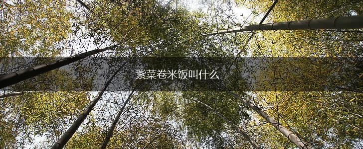 紫菜卷米饭叫什么,第1张