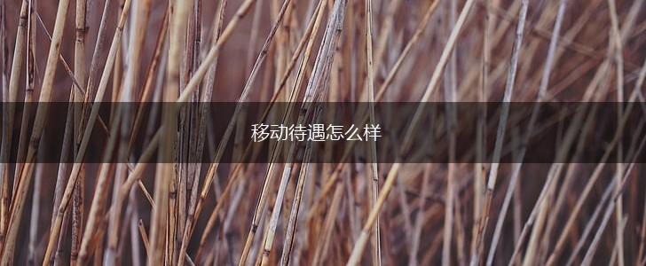 移动待遇怎么样,第1张