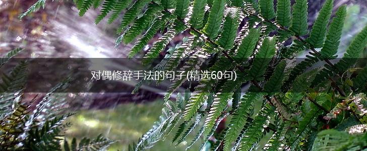 对偶修辞手法的句子(精选60句),第1张