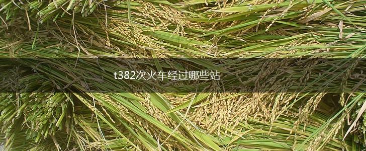 t382次火车经过哪些站,第1张
