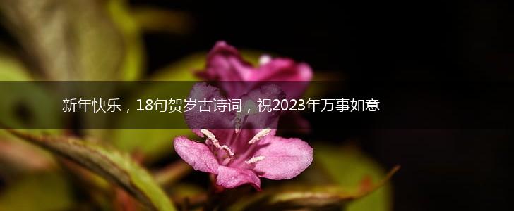 新年快乐，18句贺岁古诗词，祝2023年万事如意,第1张