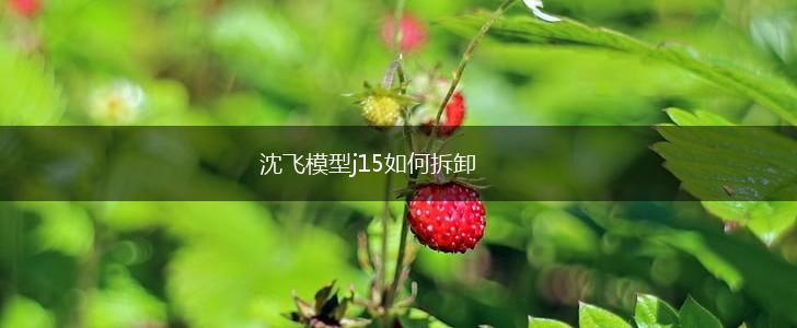 沈飞模型j15如何拆卸,第1张