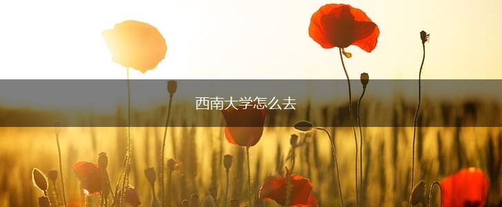 西南大学怎么去,第1张