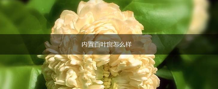 内置百叶窗怎么样,第1张