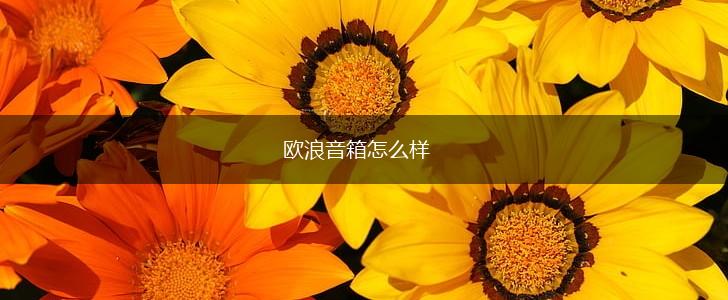 欧浪音箱怎么样,第1张