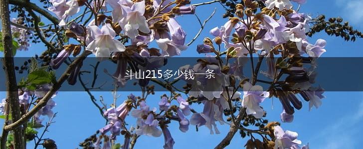 斗山215多少钱一条,第1张