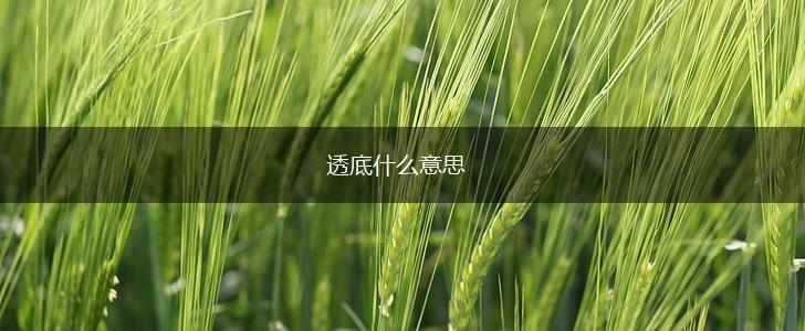 透底什么意思,第1张