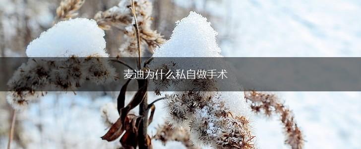 麦迪为什么私自做手术,第1张