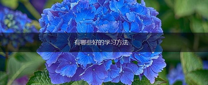 有哪些好的学习方法,第1张