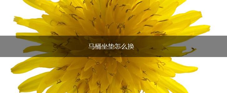 马桶坐垫怎么换,第1张