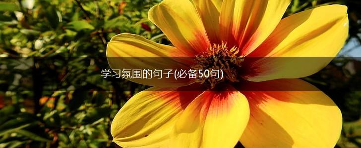 学习氛围的句子(必备50句),第1张