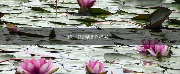 雅思托福哪个难考,第1张