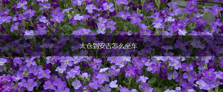 太仓到安吉怎么坐车,第1张