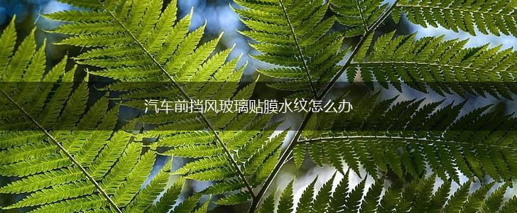 汽车前挡风玻璃贴膜水纹怎么办,第1张