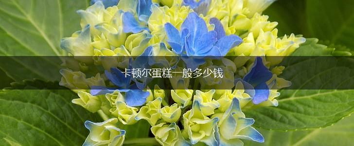 卡顿尔蛋糕一般多少钱,第1张