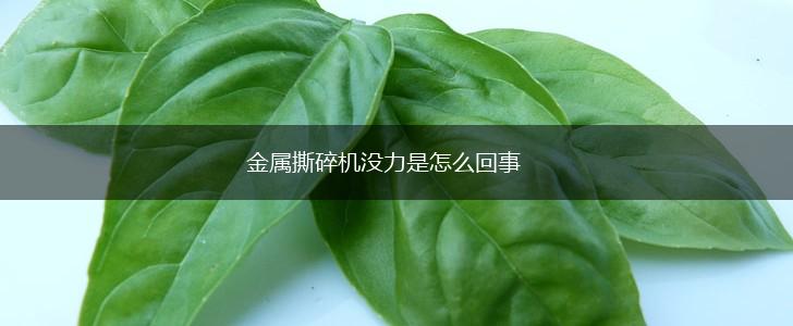 金属撕碎机没力是怎么回事,第1张