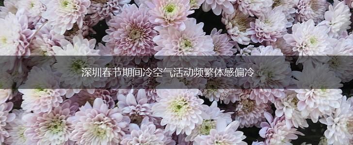 深圳春节期间冷空气活动频繁体感偏冷,第1张