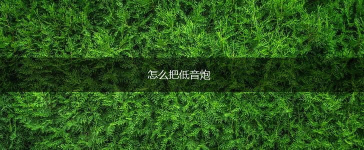 怎么把低音炮,第1张