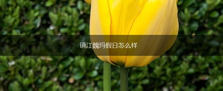 镇江魏玛假日怎么样,第1张