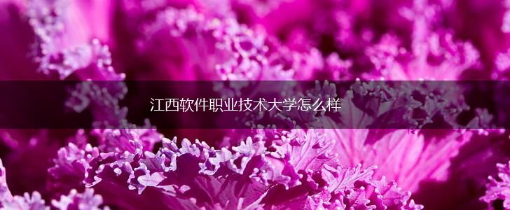 江西软件职业技术大学怎么样,第1张
