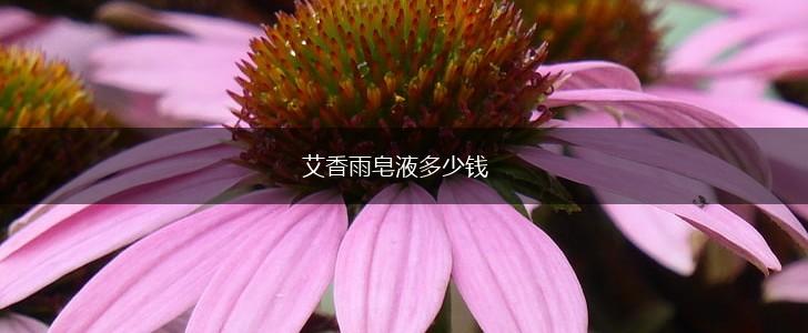 艾香雨皂液多少钱,第1张