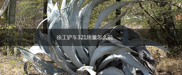 徐工铲车321质量怎么说,第1张