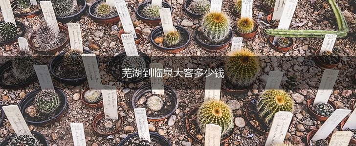 芜湖到临泉大客多少钱,第1张