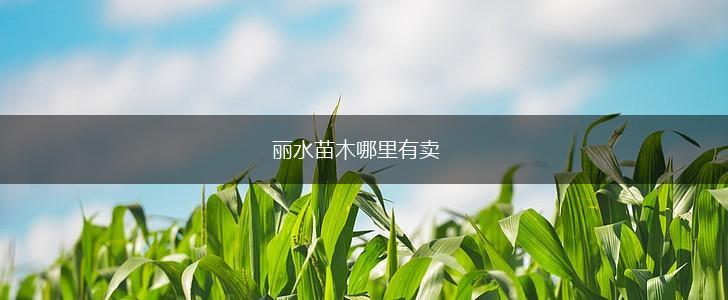 丽水苗木哪里有卖,第1张
