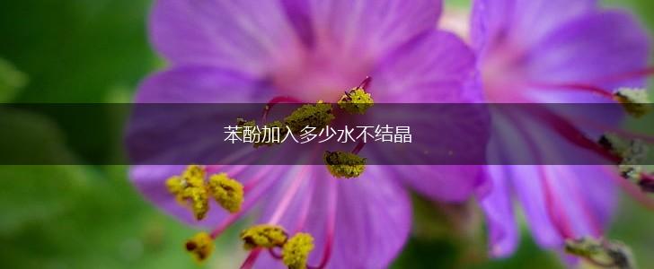 苯酚加入多少水不结晶,第1张