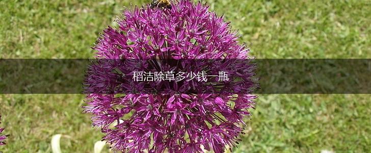 稻洁除草多少钱一瓶,第1张