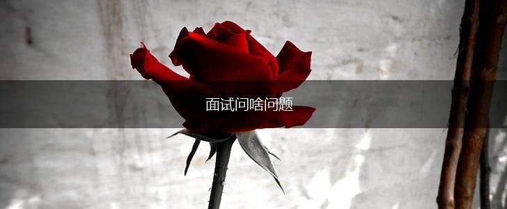 面试问啥问题,第1张