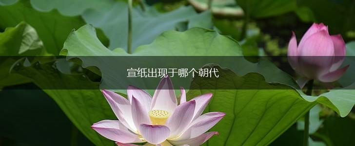 宣纸出现于哪个朝代,第1张