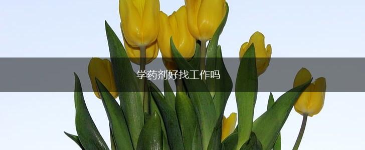 学药剂好找工作吗,第1张