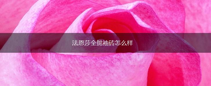 法恩莎全抛袖砖怎么样,第1张