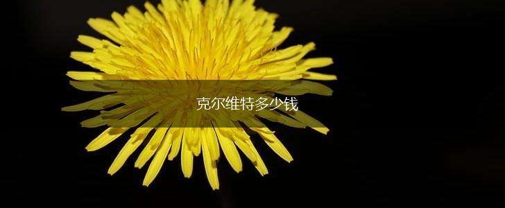 克尔维特多少钱,第1张