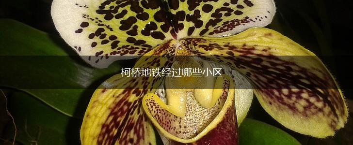 柯桥地铁经过哪些小区,第1张