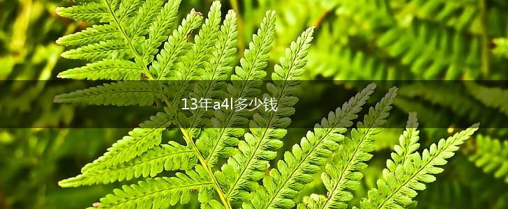 13年a4l多少钱,第1张