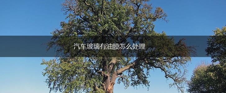 汽车玻璃有油膜怎么处理,第1张