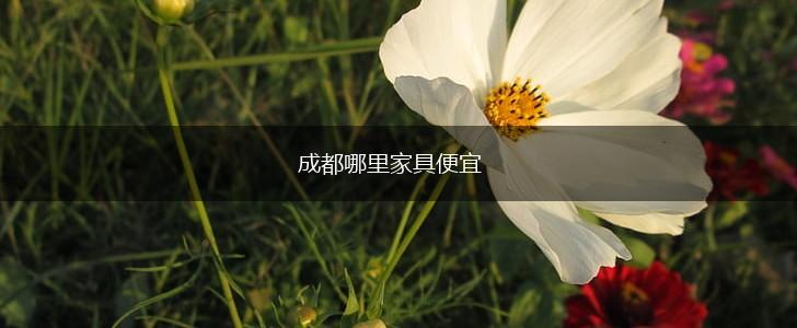 成都哪里家具便宜,第1张
