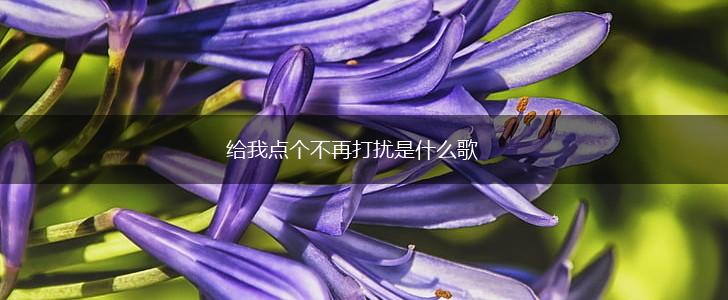 给我点个不再打扰是什么歌,第1张