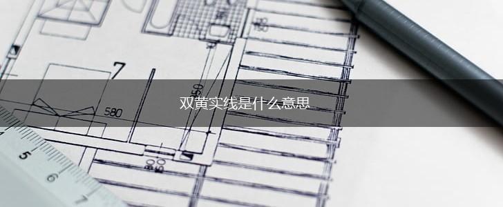 双黄实线是什么意思,第1张