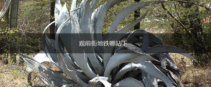 观前街地铁哪站下,第1张