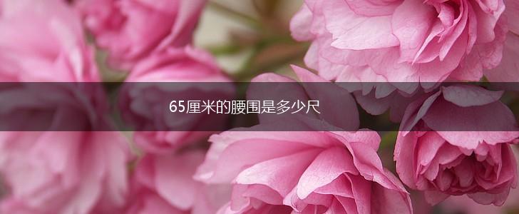 65厘米的腰围是多少尺,第1张