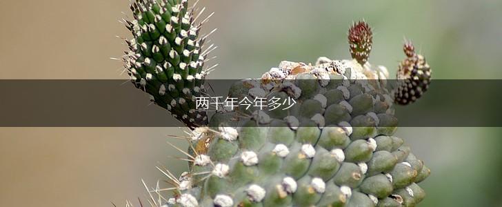 两千年今年多少,第1张