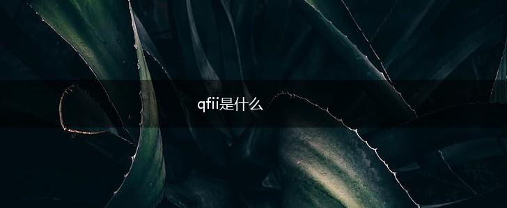 qfii是什么,第1张
